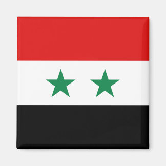 Syria Flag Magnet