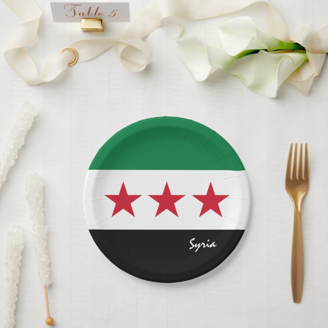 Syrian Flag, Syria party, birthday /sport Paper Plates (Wedding)