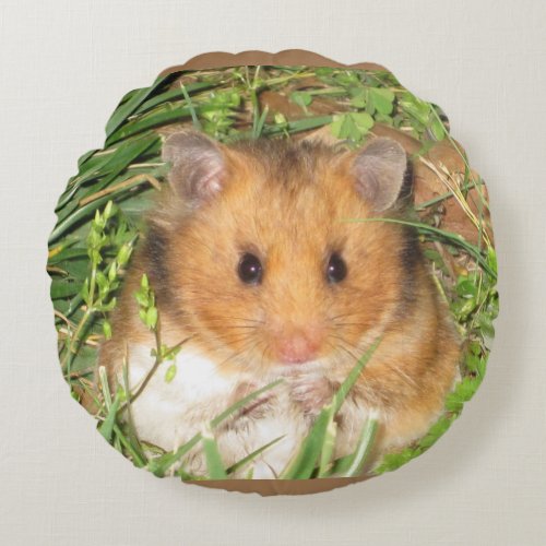 Syrian hamster round pillow