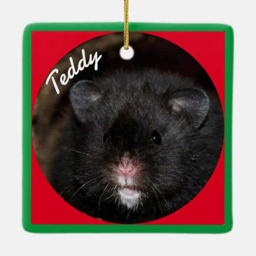 Syrian Pet Hamster _ Standard Hamster _ Black Bear Ceramic Ornament