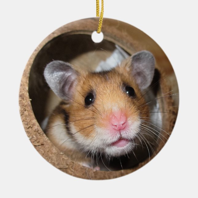 Syrian Pet Hamster - Standard Hamster - Teddy Bear Ceramic Ornament (Front)