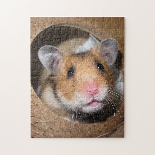 Syrian Pet Hamster _ Standard Hamster _ Teddy Bear Jigsaw Puzzle