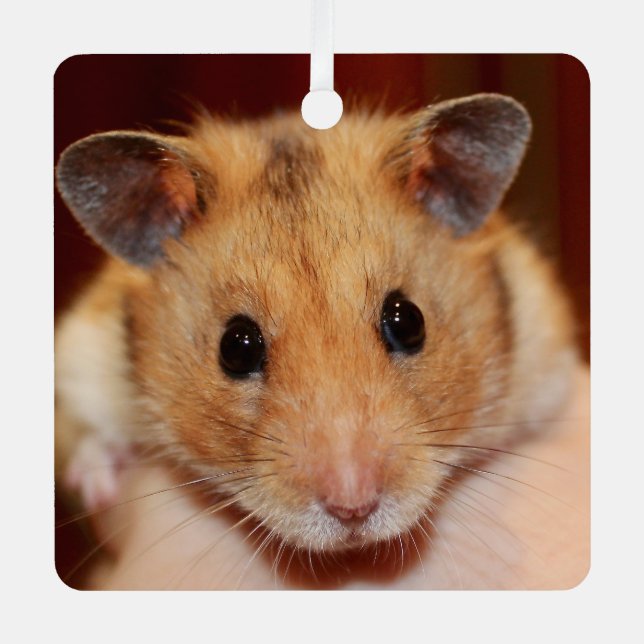 Syrian Pet Hamster - Standard Hamster - Teddy Bear Metal Ornament (Front)