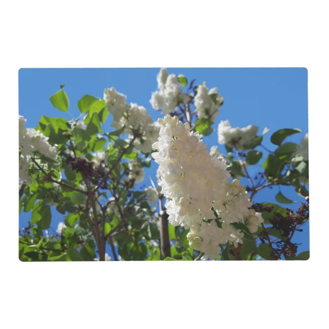 Syringa , White Lilac Flower Tree Pet Mat (Front)