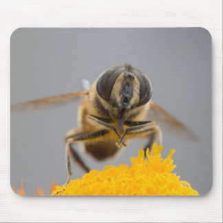 Syrphidae Mouse Pad