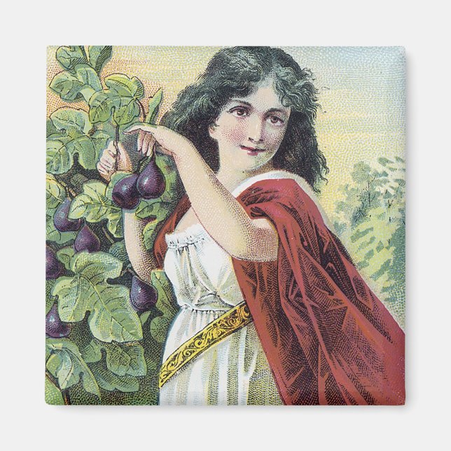 Syrup of Figs Natures Pleasant Laxative Magnet (Front)