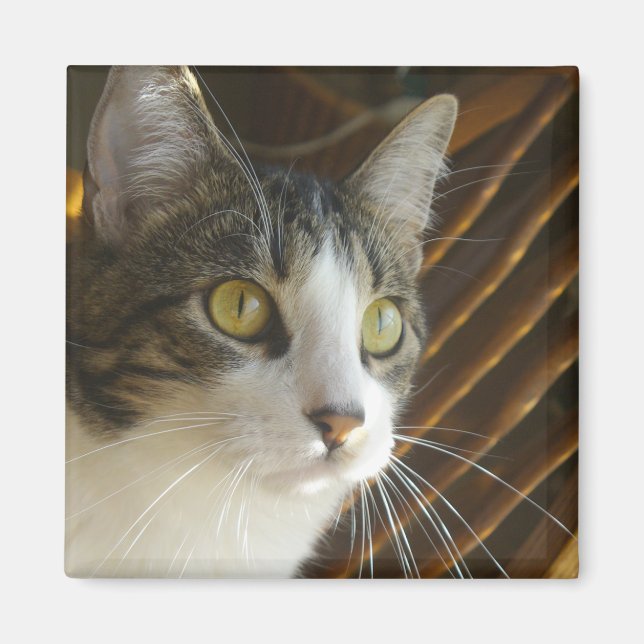 Syrus Magnet 003 (Front)