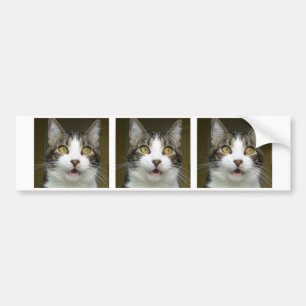 Syrus Shocked Bumper Sticker 0001