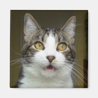 Syrus Shocked Magnet 0001