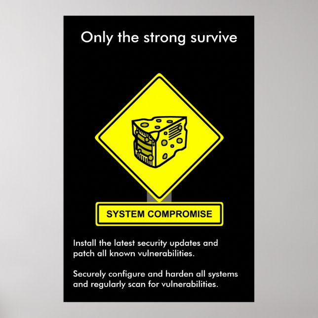 System Compromise Security Awareness Poster (Front)