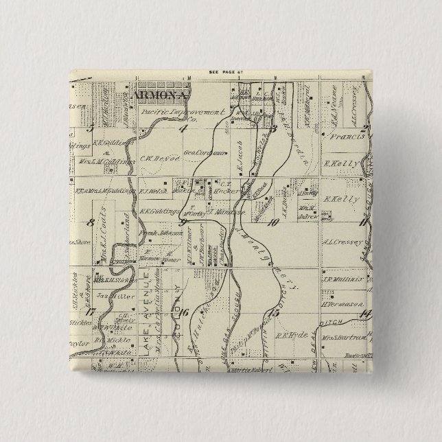 T19S R21E Tulare County Section Map Pinback Button (Front)