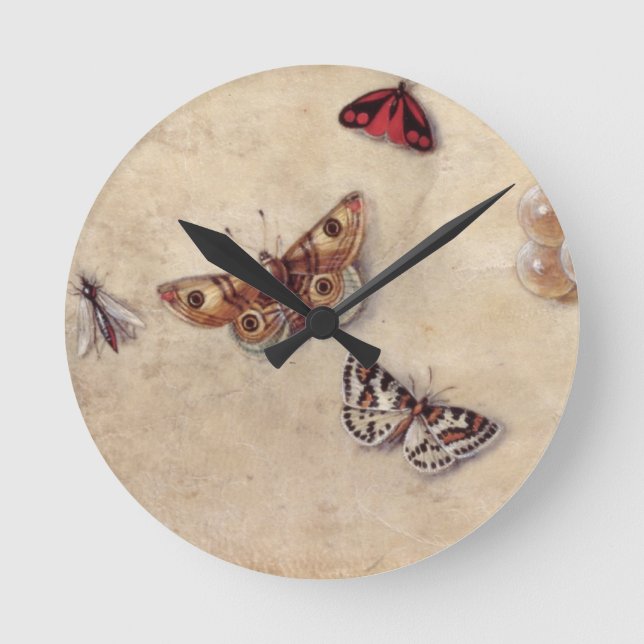 T31566 A Study of Various Insects, Fruit and Anima Round Clock (Front)