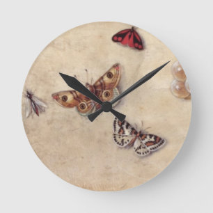 T31566 A Study of Various Insects, Fruit and Anima Round Clock