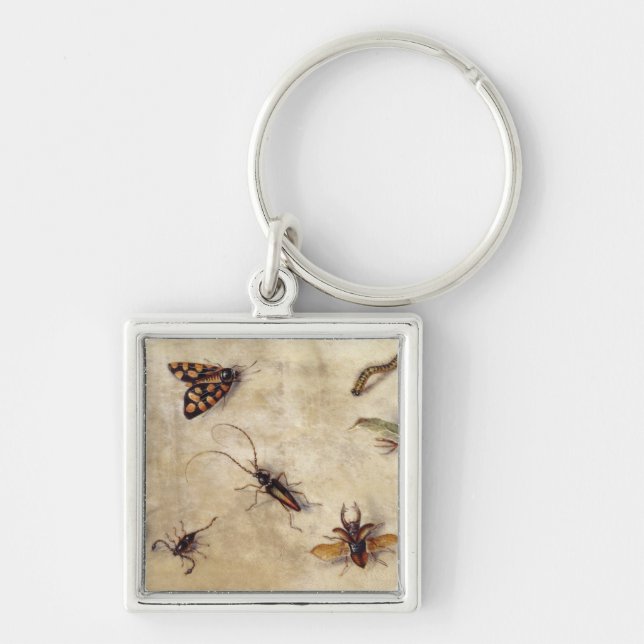 T31567 A Study of Various Insects, Fruit and Anima Keychain (Front)