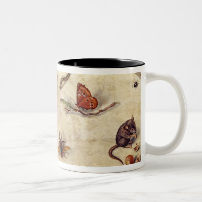 T31567 A Study of Various Insects, Fruit and Anima Two-Tone Coffee Mug (Right)