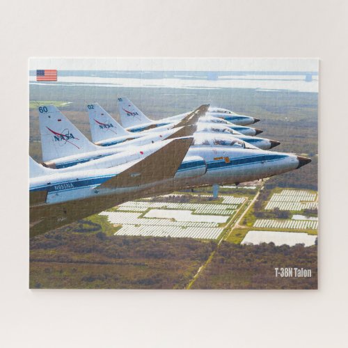 T_38N TALON 16x20 inch Jigsaw Puzzle