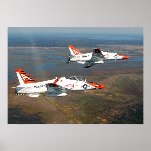 T_45C Goshawk Poster