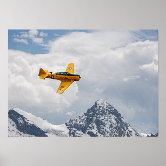 T-6 Texan Majestic Flight Holder