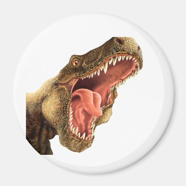 T-REX Dinosaur Locker Magnets, Refrigerator Magnet (Front)