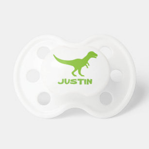 dinosaur pacifier