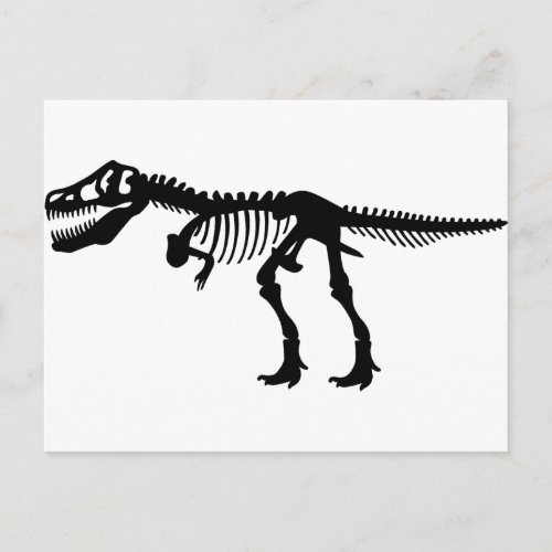 T Rex Dinosaur Skeleton Postcard