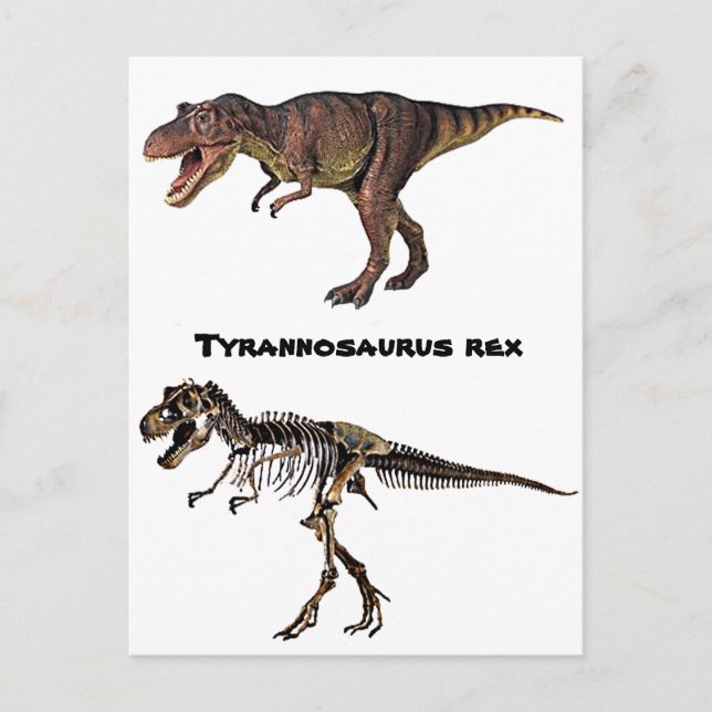 T-rex Flesh-n-Bone,Postcard Postcard (Front)