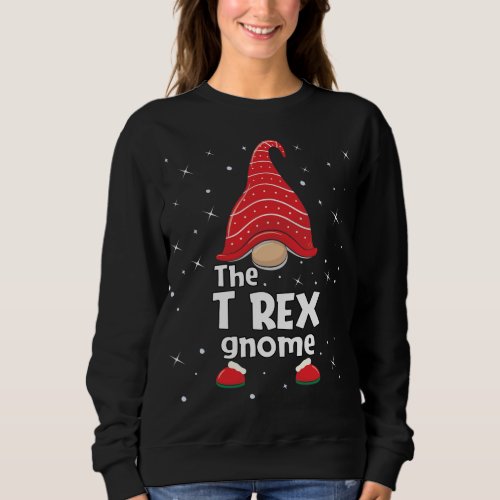 T Rex Gnome Family Matching Christmas Funny Gift P Sweatshirt