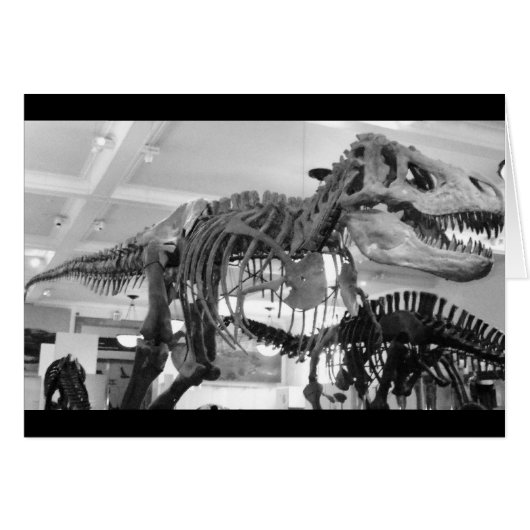 T-Rex Skeleton Pencil Cards (Front Horizontal)