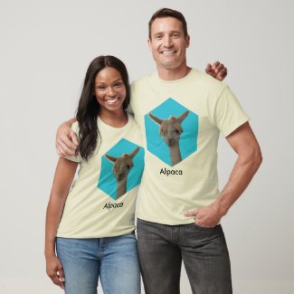 T-shirt -  Alpaca
