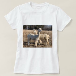 T-Shirt - Alpacas Abby & Bailey