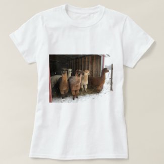 T-Shirt - Alpacas in the Snow