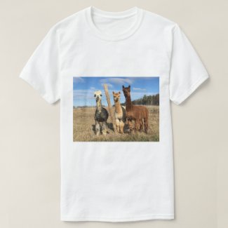 T-Shirt - Alpacas Phaethon, Barley, & Marvin