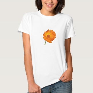 T-shirt - Calendula stem