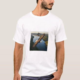 T-shirt design of eagle and cat art