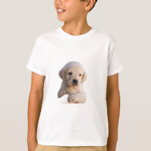 t-shirt dog
