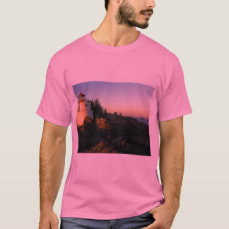 T SHIRT FOR MEN WITH THE STORM  DESIGN