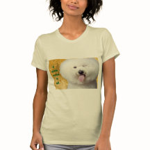T-shirt Funny Dog Print A Wink Says It All