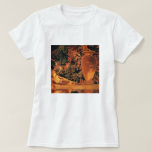 T-Shirt: Garden of Allah- Maxfield Parrish T-Shirt