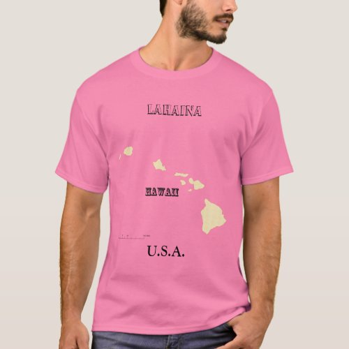 T_shirt _ Hawaii Map with City
