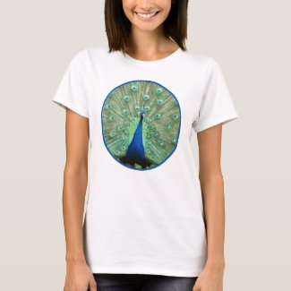 T-Shirt - Proud Peacock