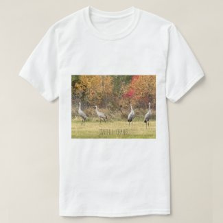 T-Shirt - Sandhill Cranes