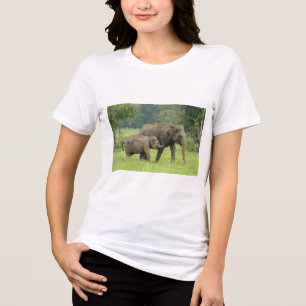 T-Shirt Tri-Blend Shirt