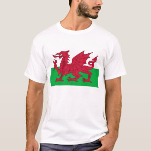 T Shirt with Flag of Wales.
