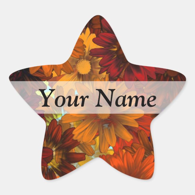 t star sticker (Front)