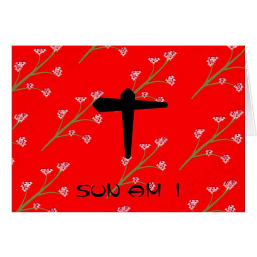 t SUN AM I Cards (Front Horizontal)