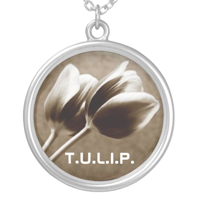 T.U.L.I.P. SILVER PLATED NECKLACE (Front)