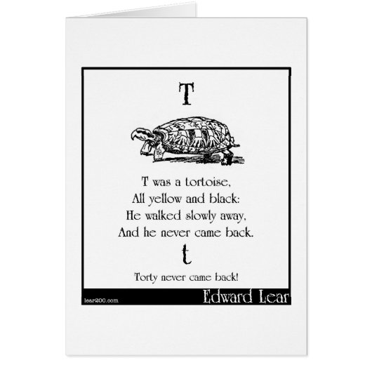 T was a tortoise cards (Front)