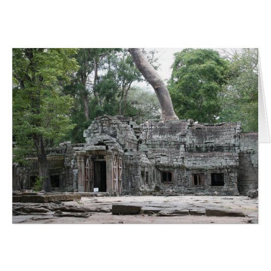 ta prohm front (Front Horizontal)