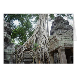 ta prohm roots cards