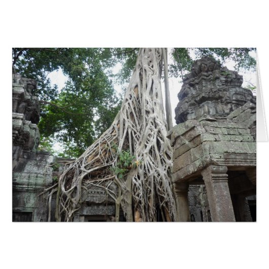 ta prohm roots cards (Front Horizontal)